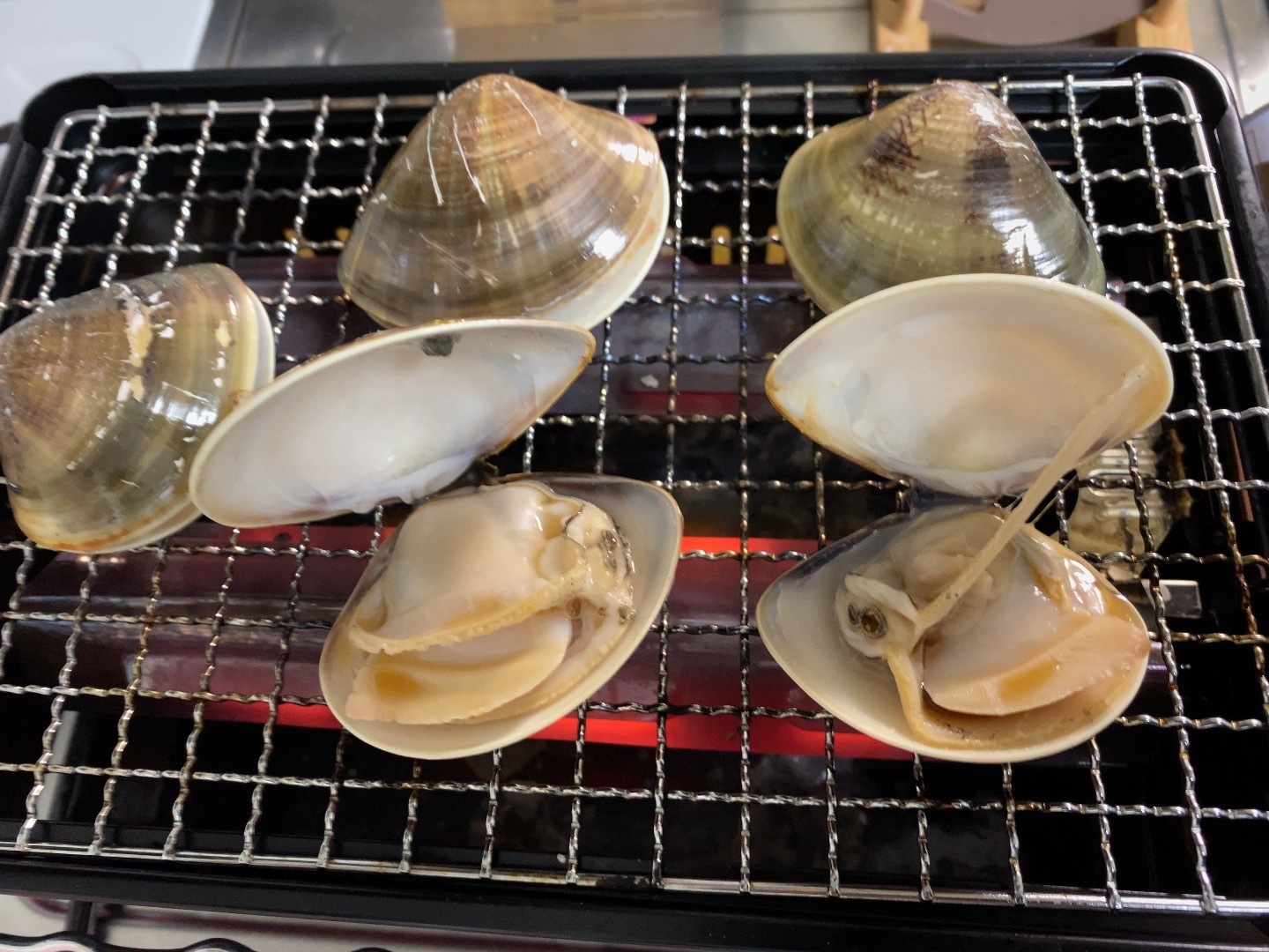 貝づくし 百魚夜釣 海を流離う素浪人